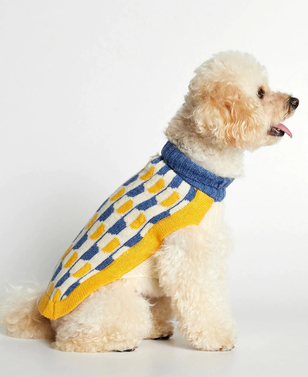 Donald Blue & Yellow Merino Wool Dog Sweater