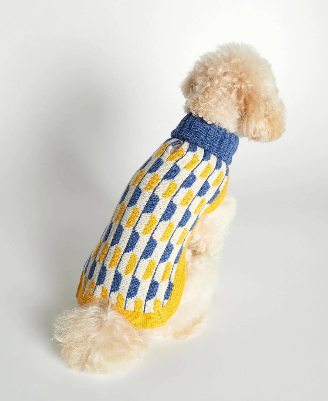 Donald Blue & Yellow Merino Wool Dog Sweater