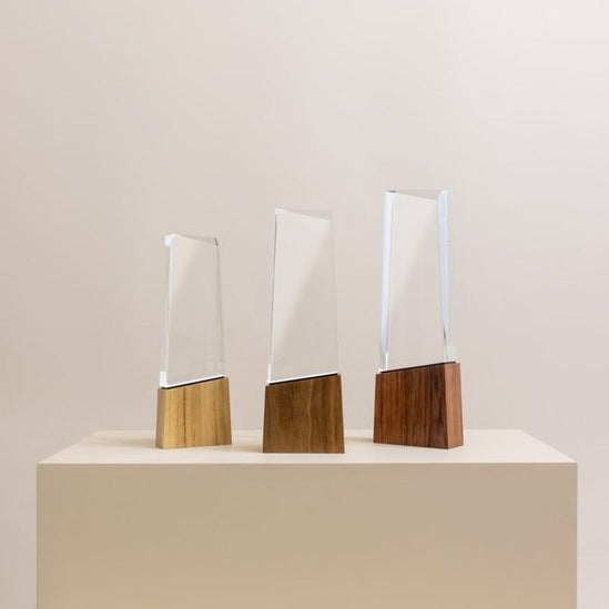 Wood and methacrylate trophy