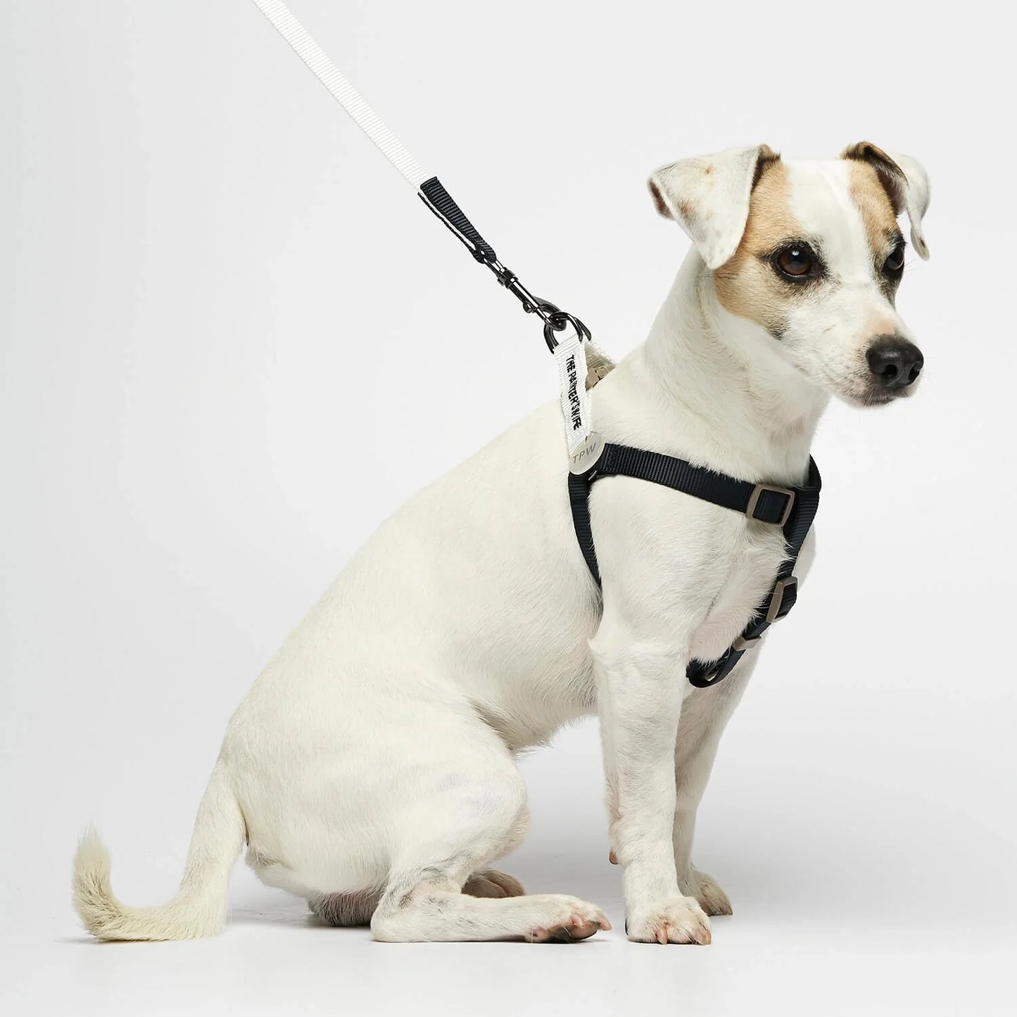 Sonia White & Navy Dog Harness