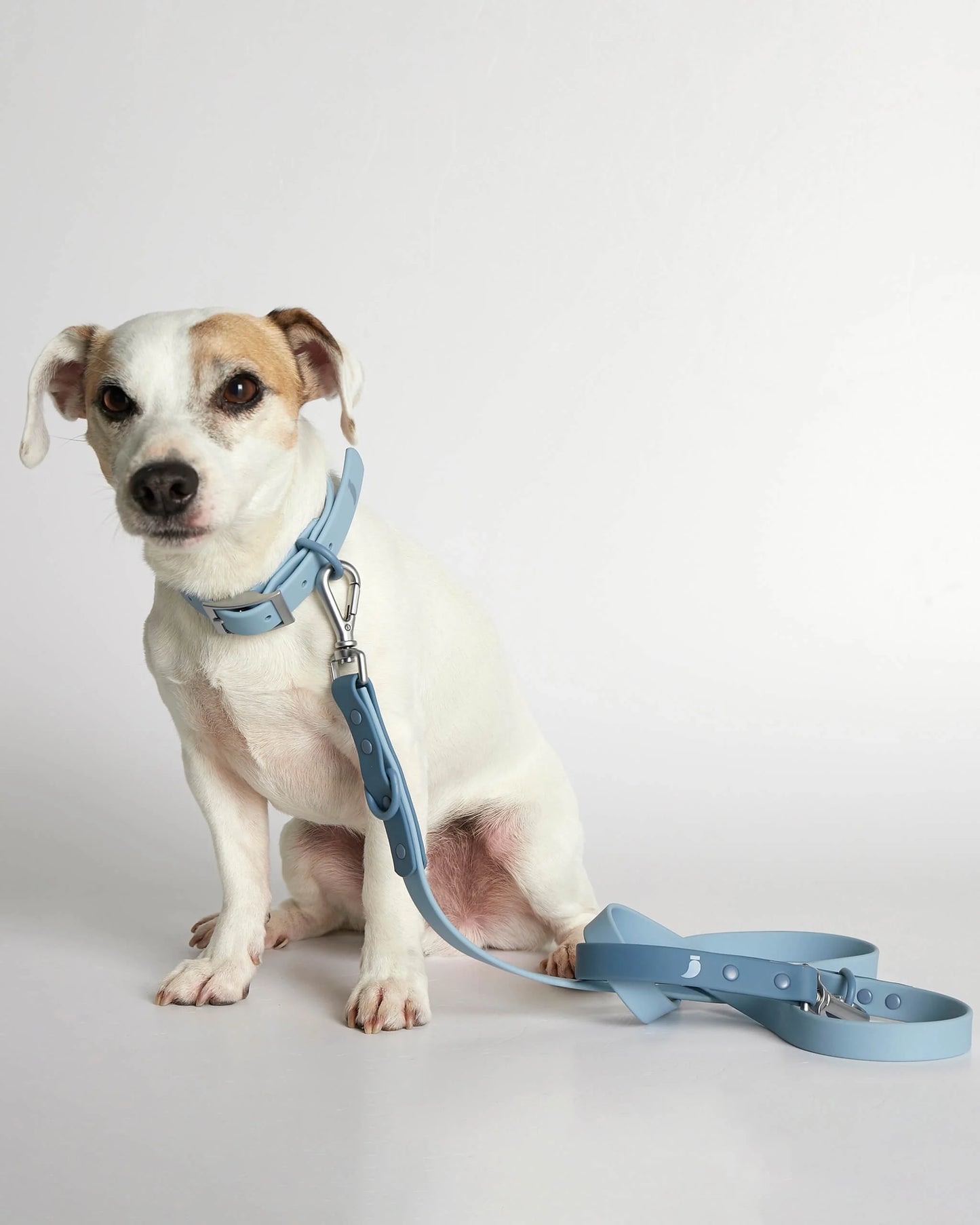 Rose blue dog leash