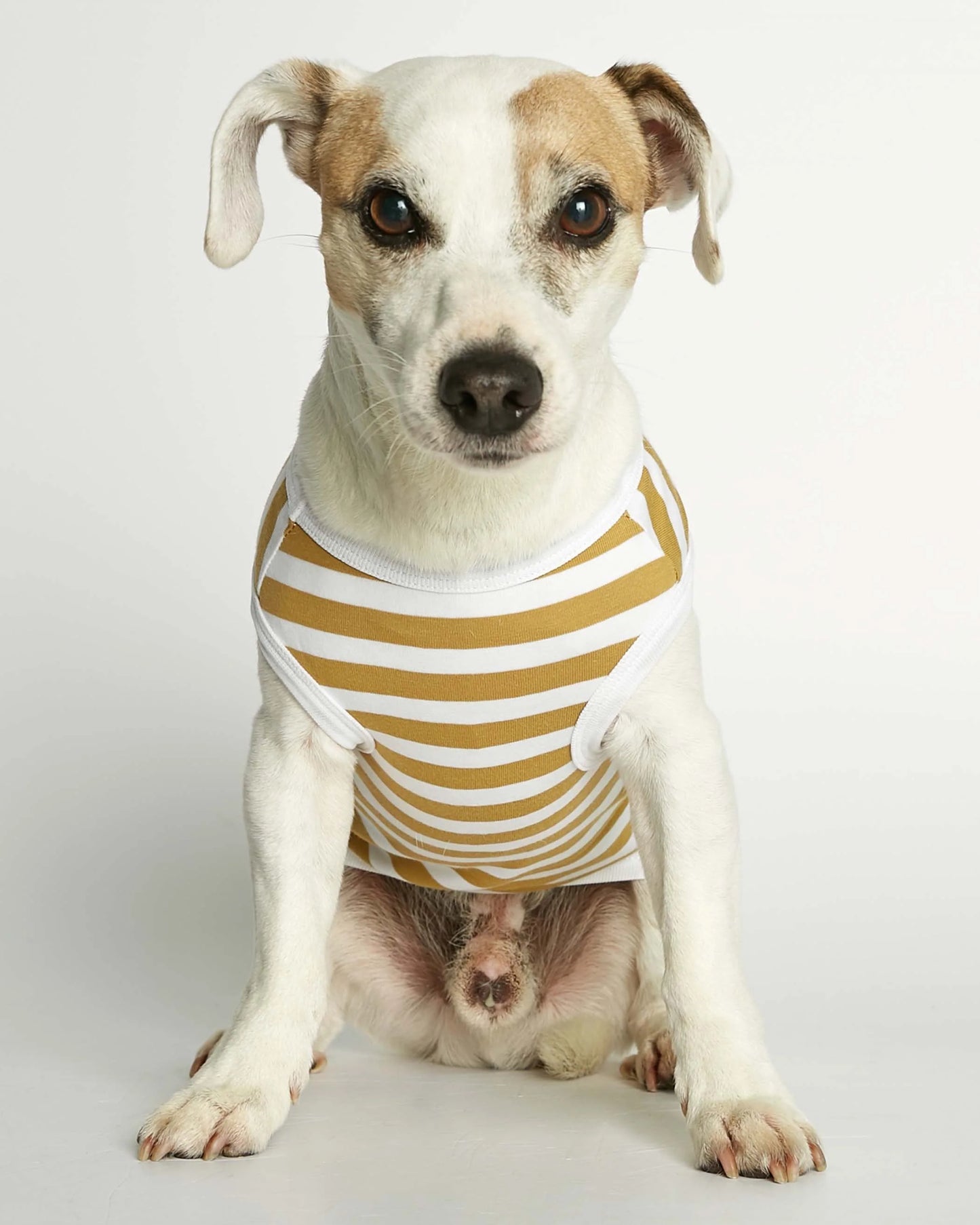 Daniel Yellow Striped Organic Cotton Dog Bodysuit Vest