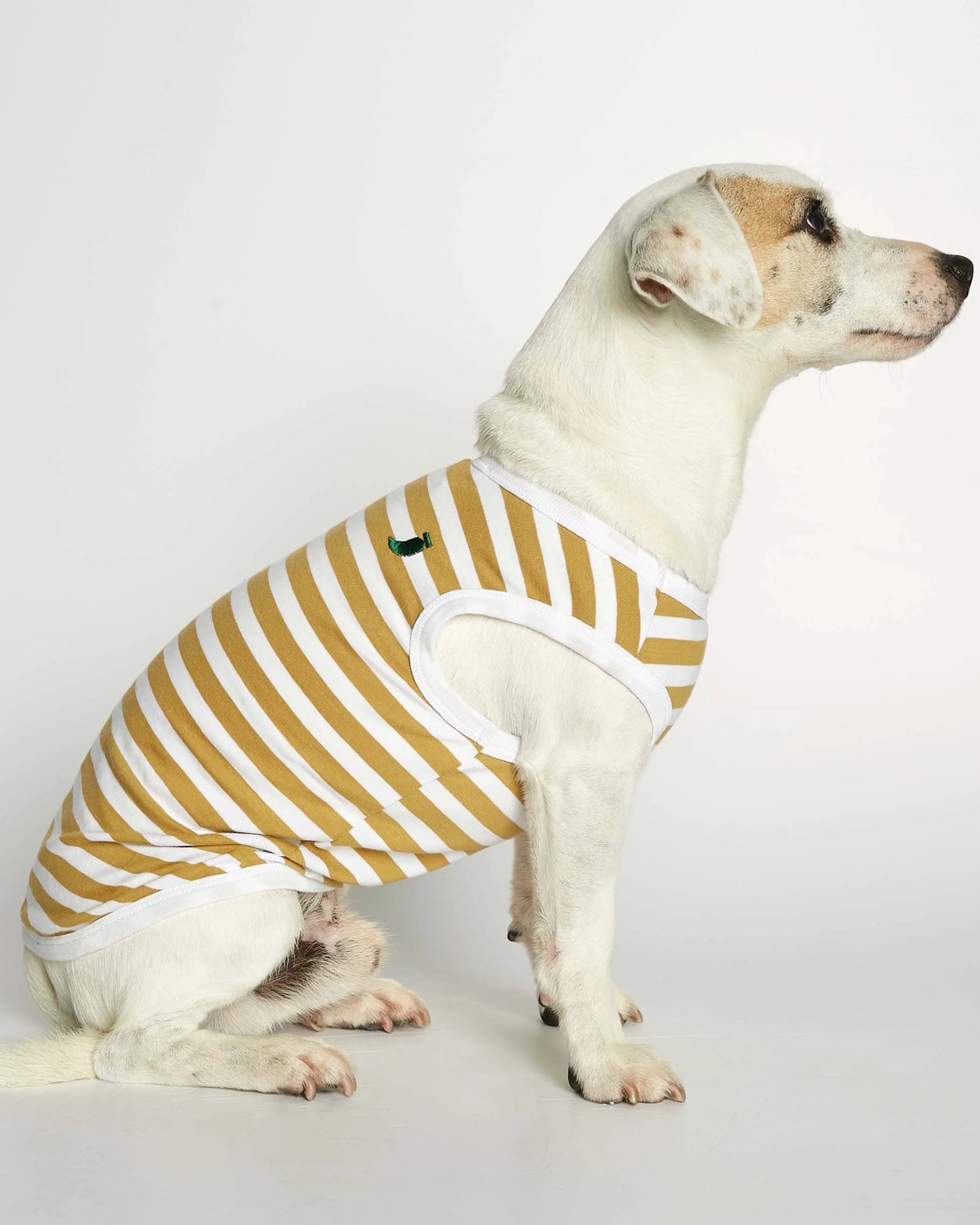 Daniel Yellow Striped Organic Cotton Dog Bodysuit Vest