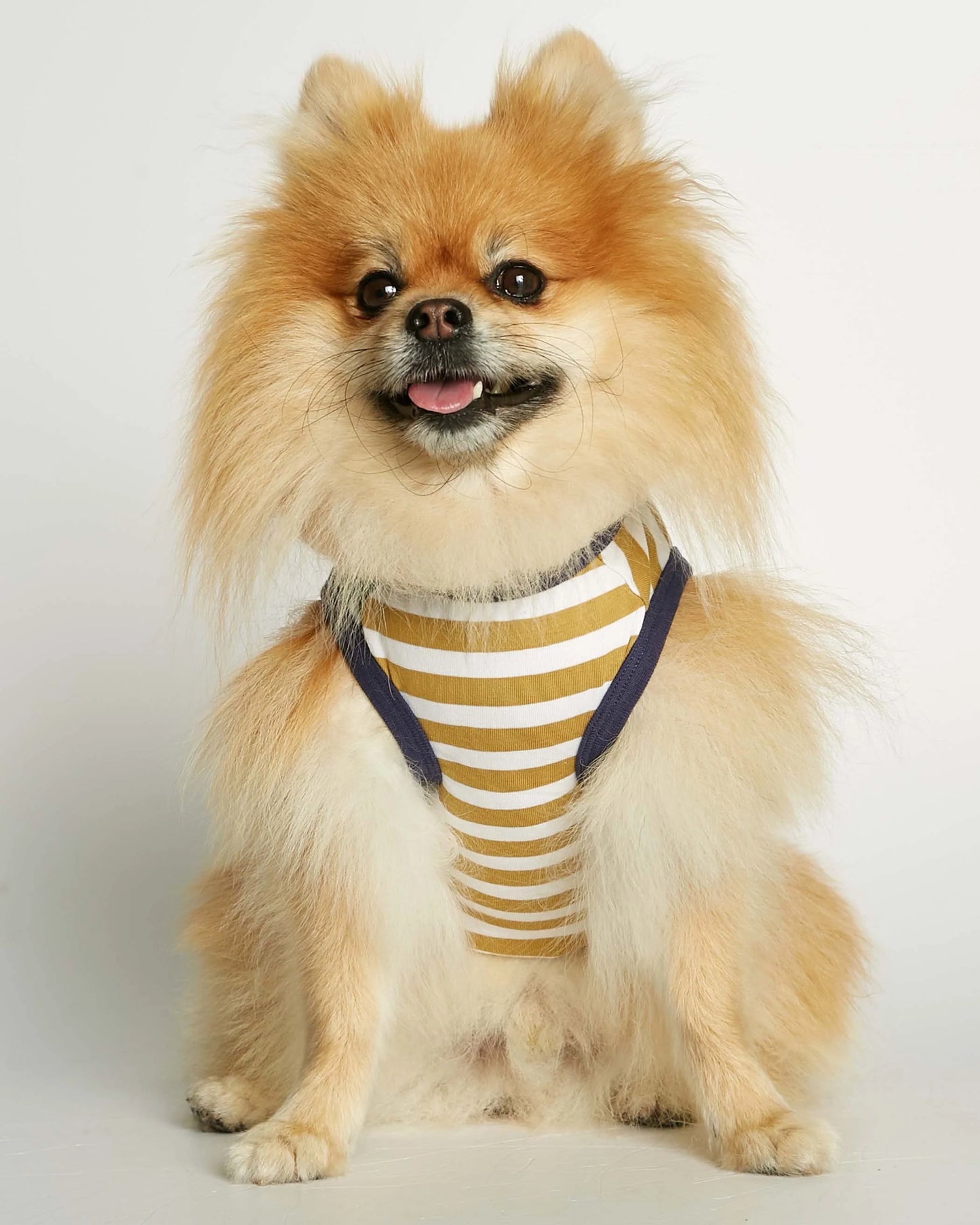 Daniel Yellow and Green Striped Organic Cotton Dog Bodysuit Vest