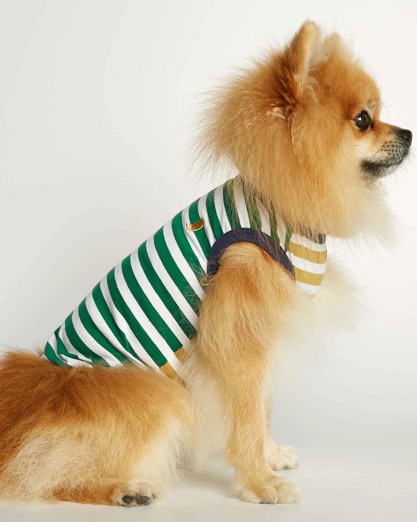 Daniel Yellow and Green Striped Organic Cotton Dog Bodysuit Vest