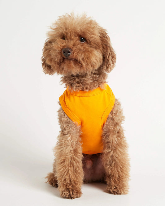 Imi Yellow Organic Cotton Dog Bodysuit Vest