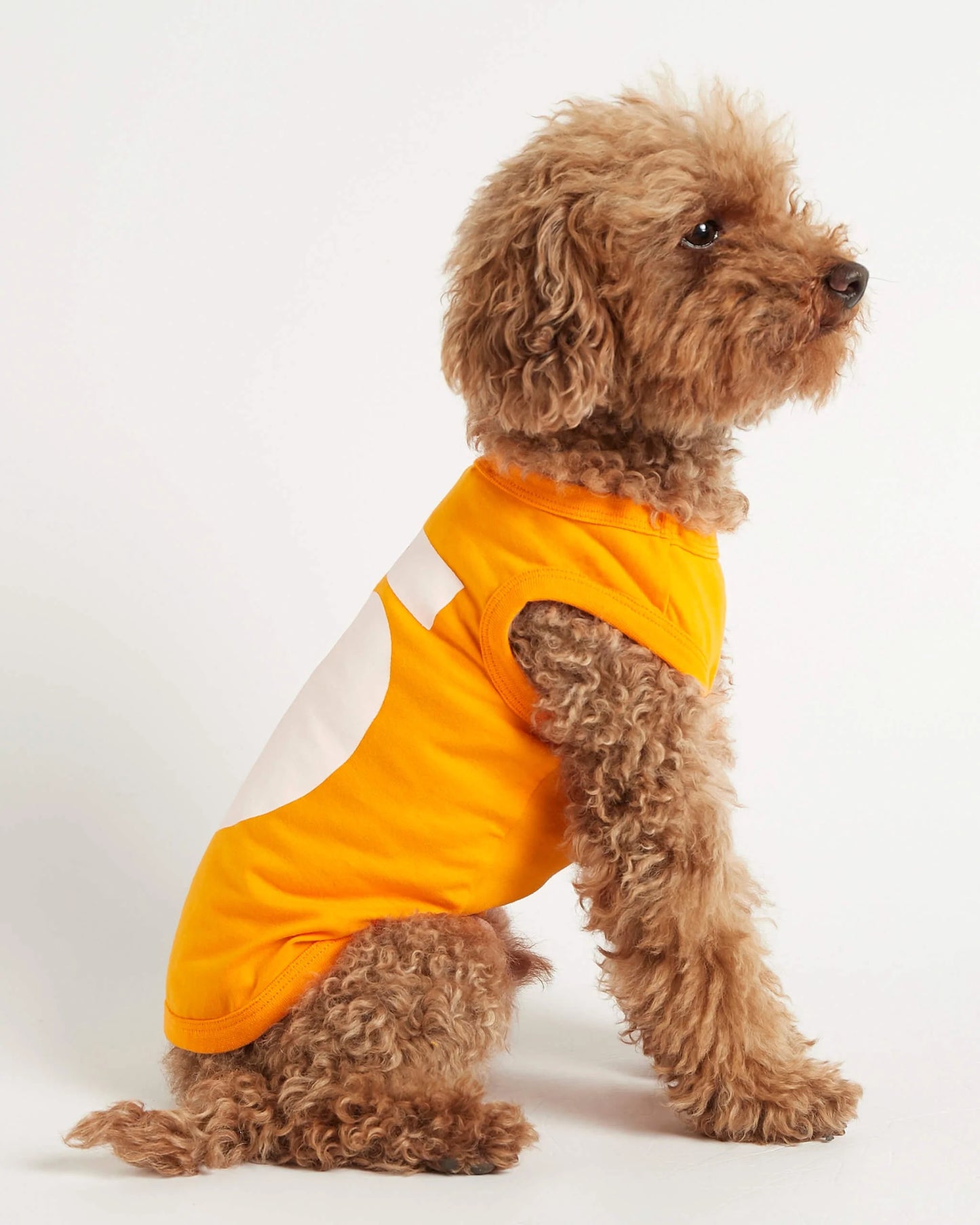 Imi Yellow Organic Cotton Dog Bodysuit Vest