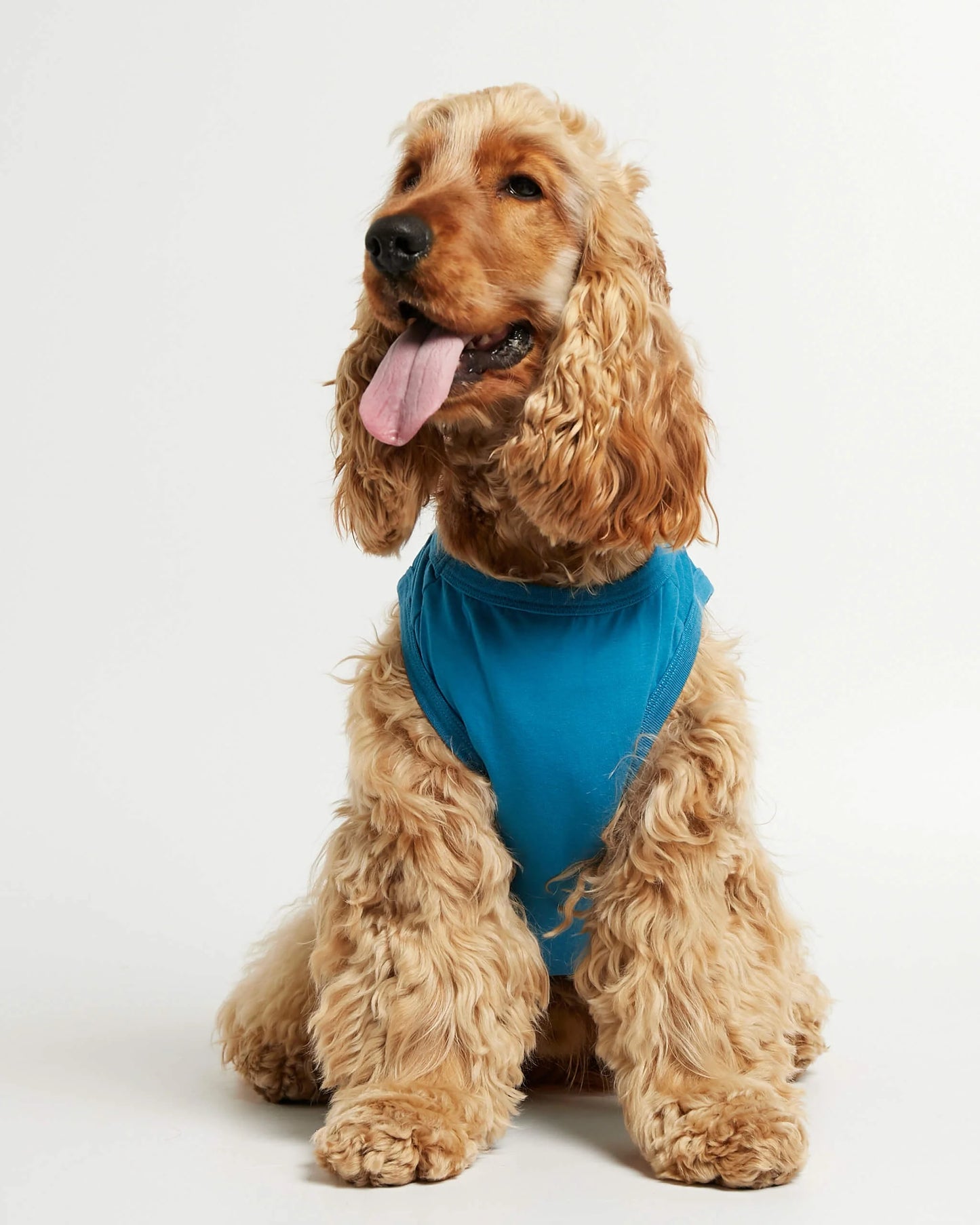 Imi Blue Organic Cotton Dog Bodysuit Vest