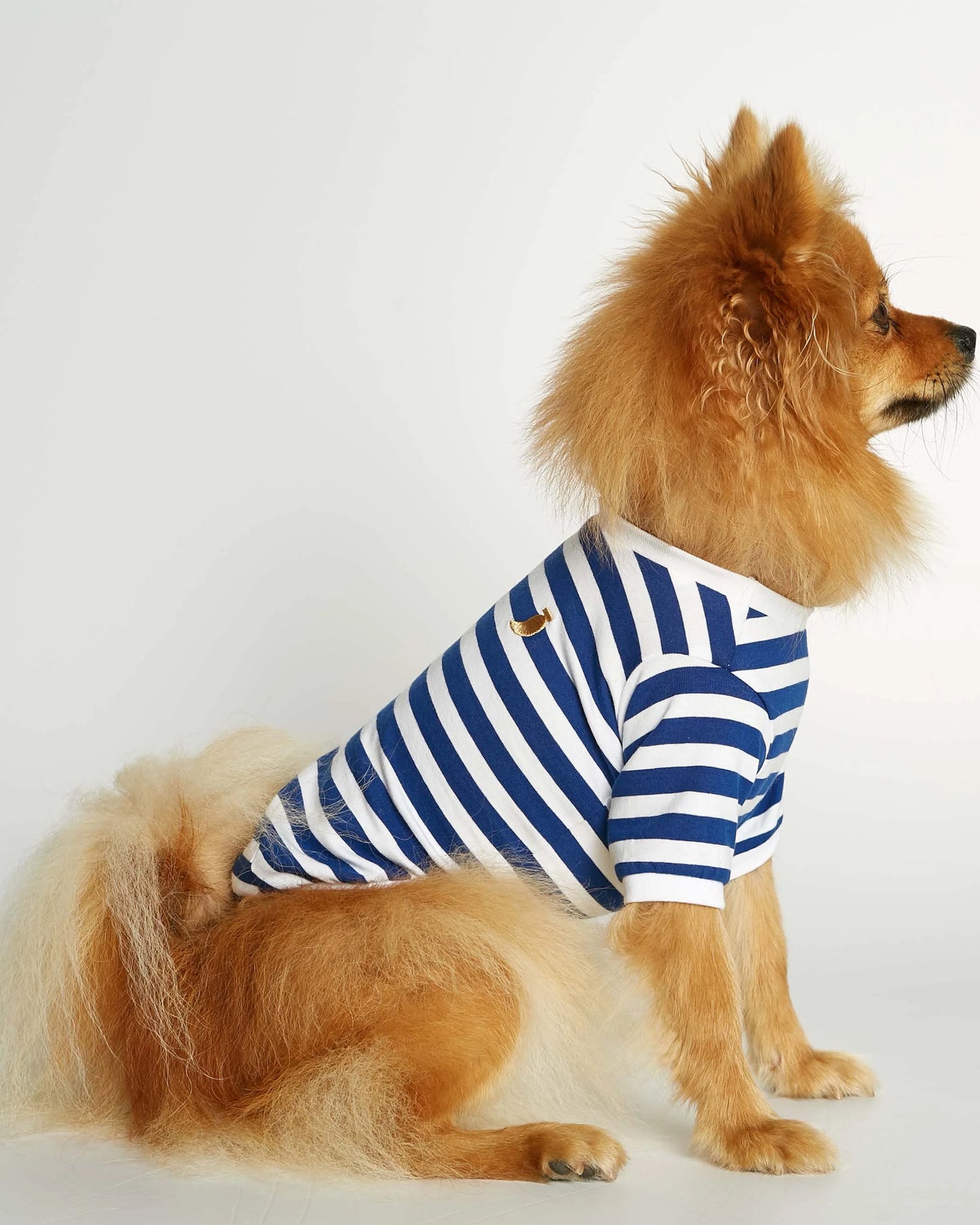 David Deep Blue Organic Cotton Dog T-shirt