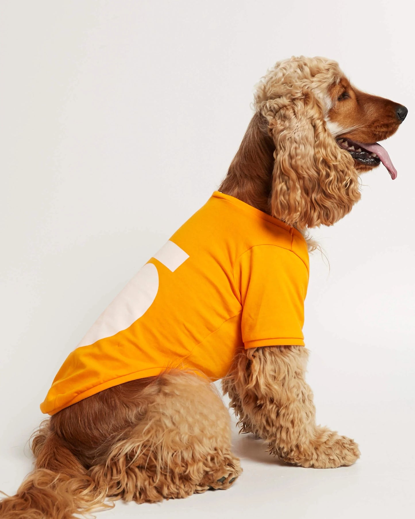 Imi Yellow Organic Cotton Dog T-Shirt
