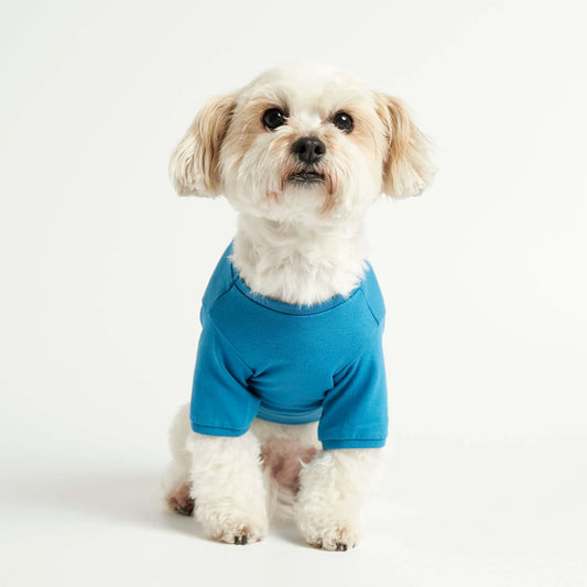 Imi Blue Organic Cotton Dog T-Shirt