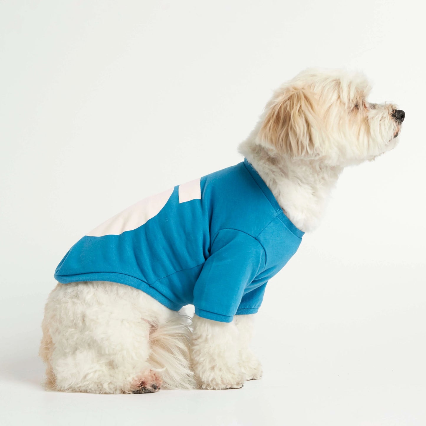 Imi Blue Organic Cotton Dog T-Shirt