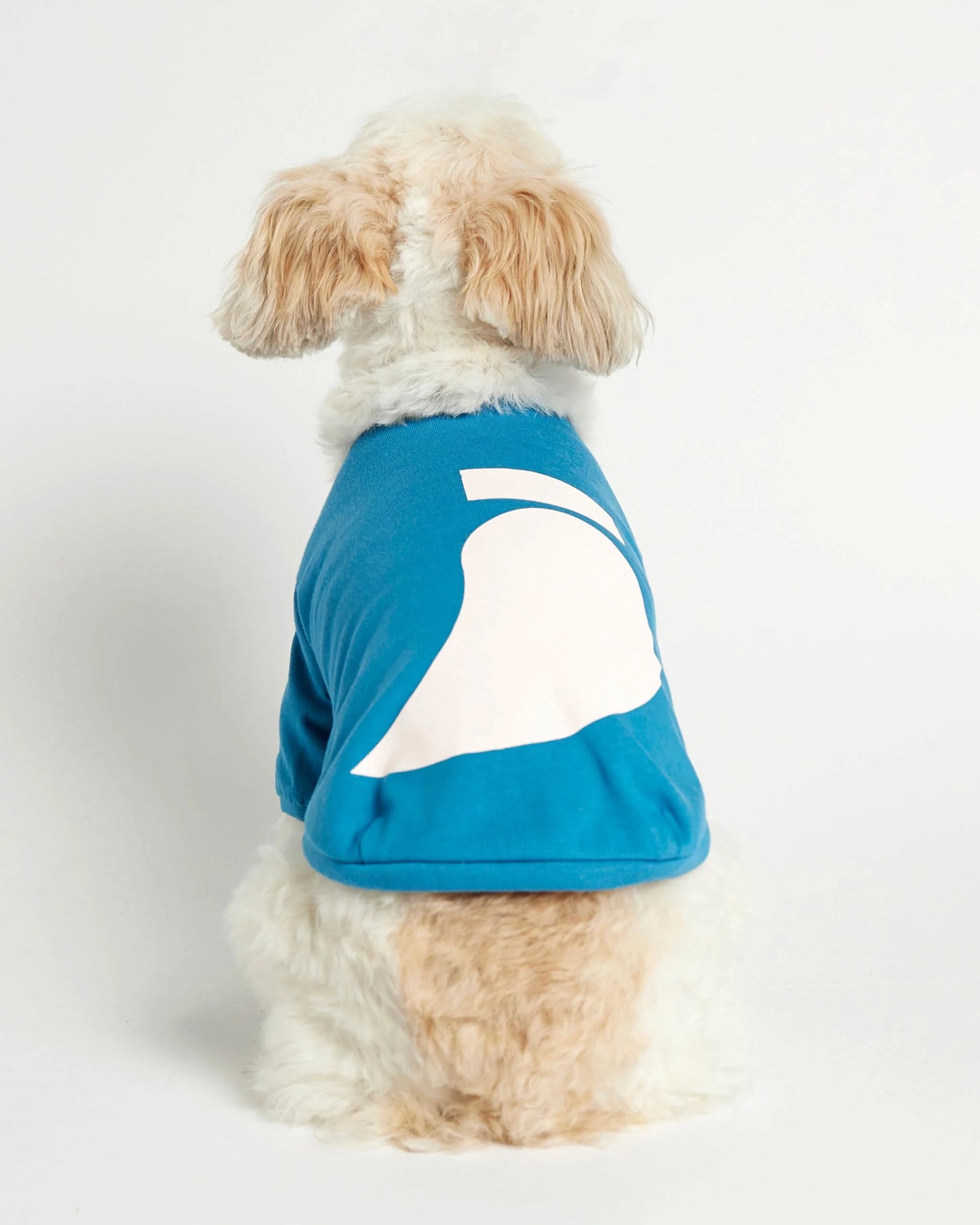 Imi Blue Organic Cotton Dog T-Shirt