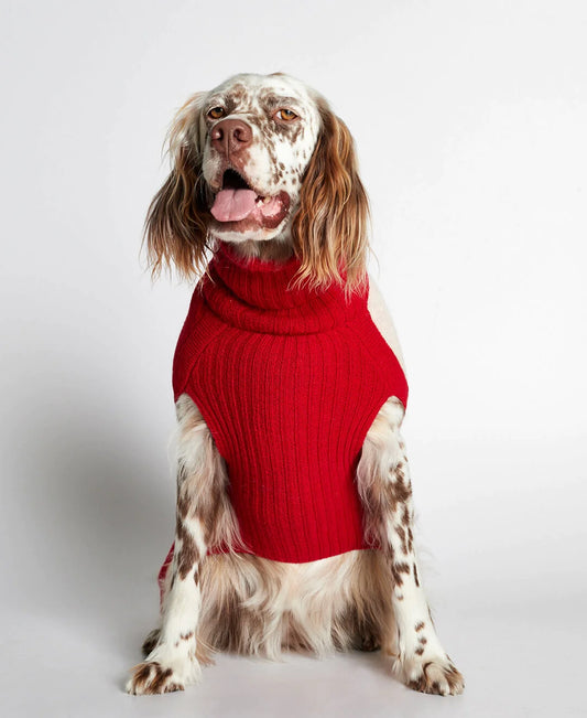 René Red Merino Wool Dog Sweater