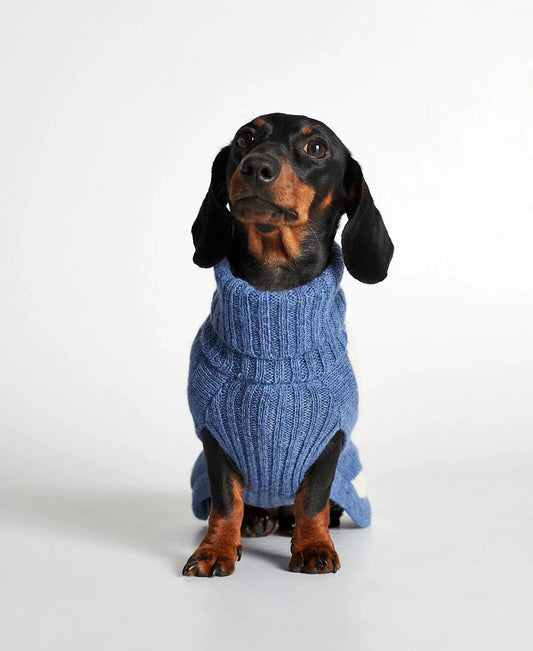 René Blue Merino Wool Dog Sweater