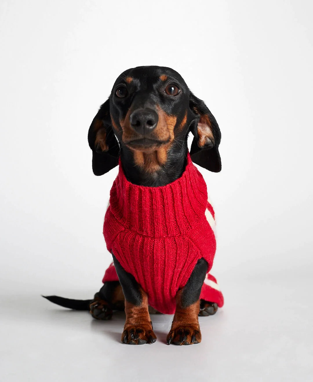 Donald Red & Pink Merino Wool Dog Sweater
