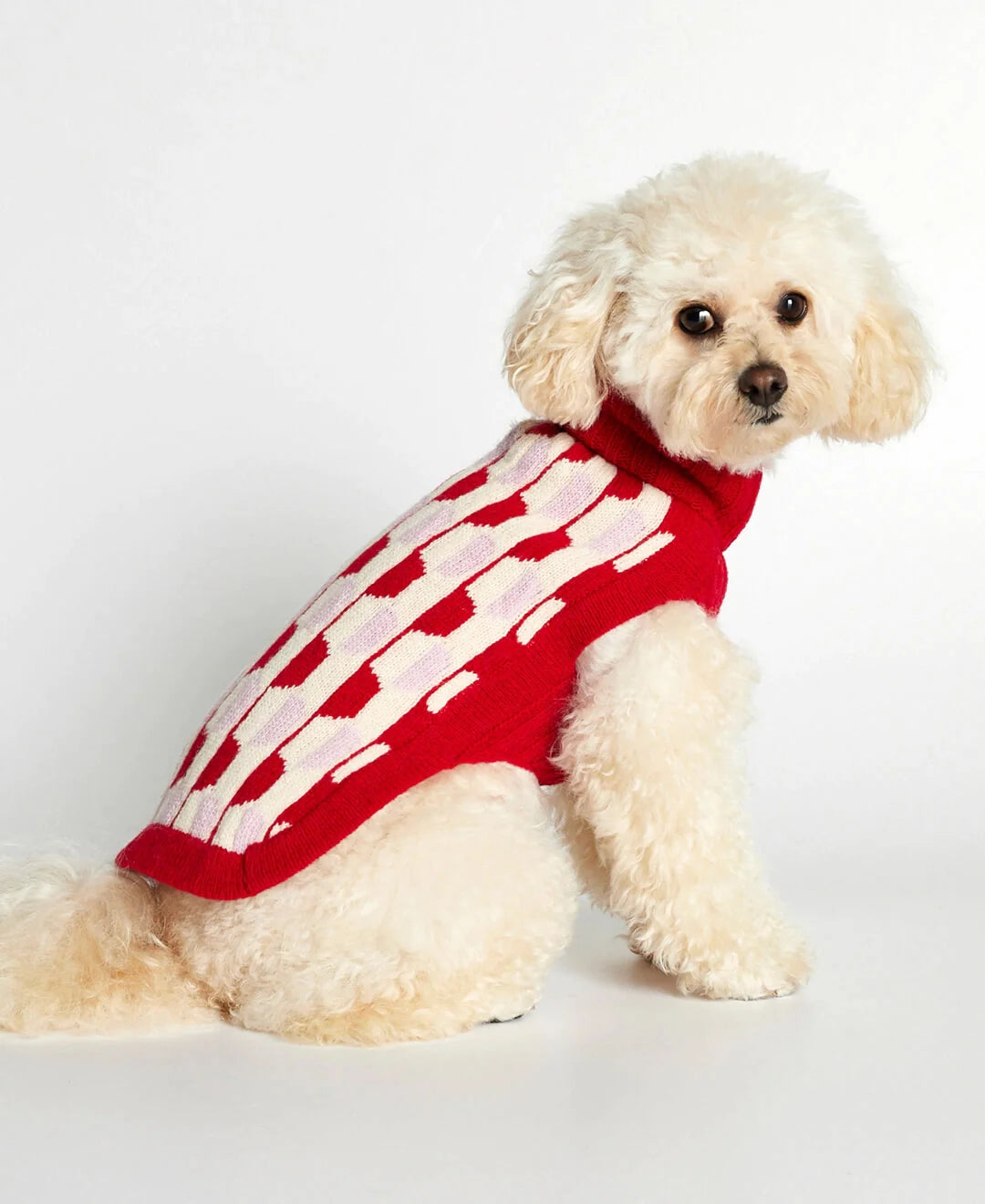 Donald Red & Pink Merino Wool Dog Sweater