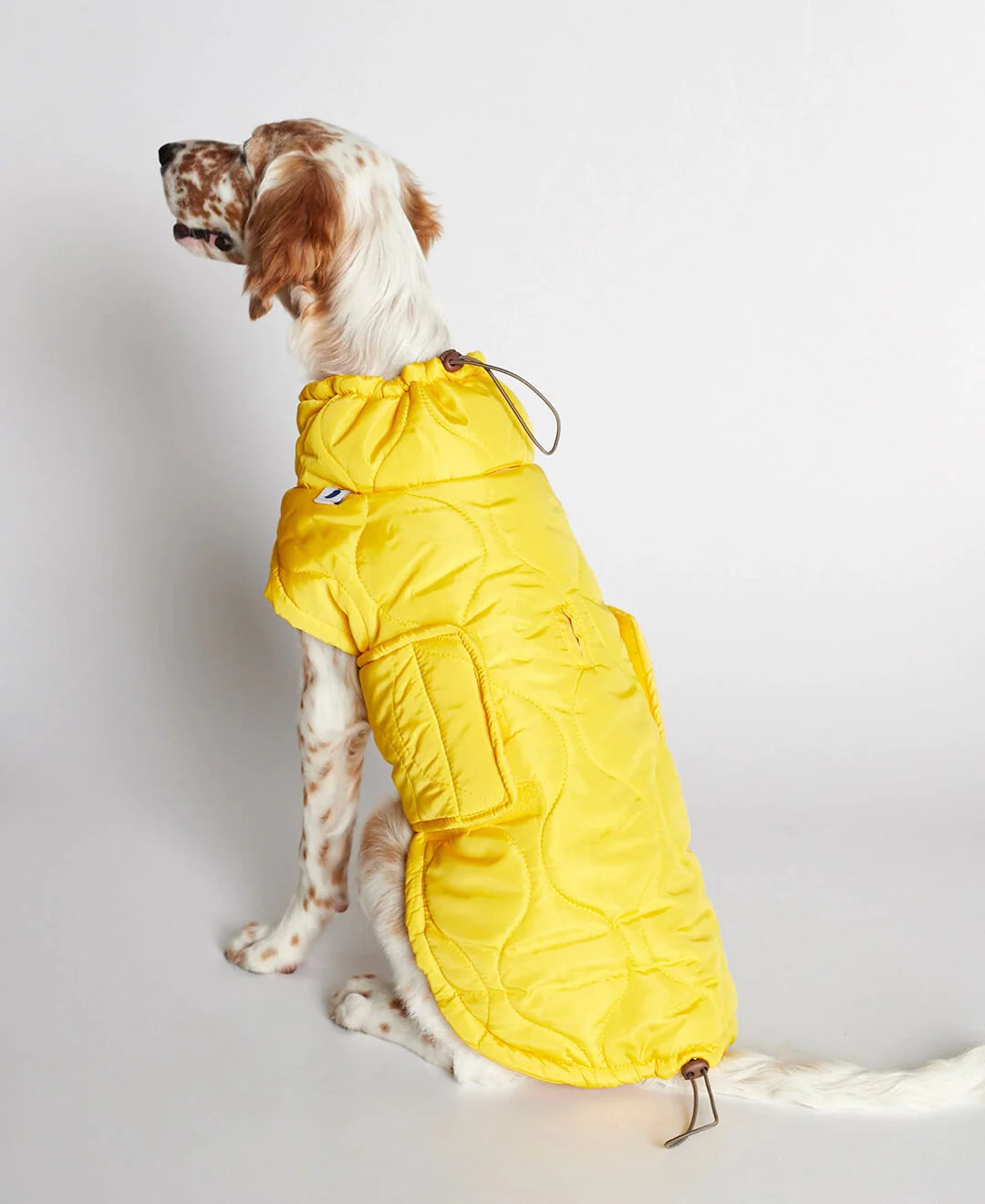Al Yellow Dog Puffer Coat Jacket