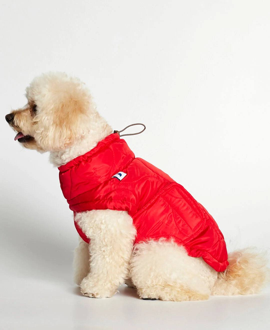 Al Red Dog Puffer Coat Jacket