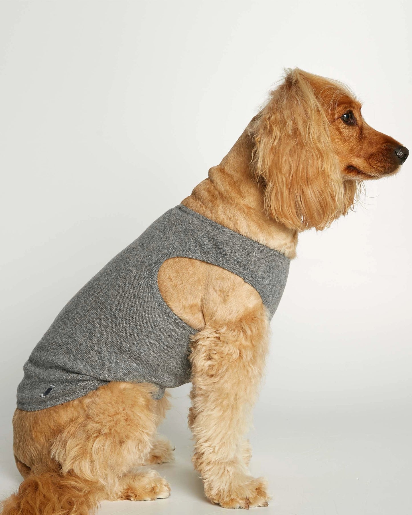 Josef Grey Organic Cotton Dog Bodysuit Vest