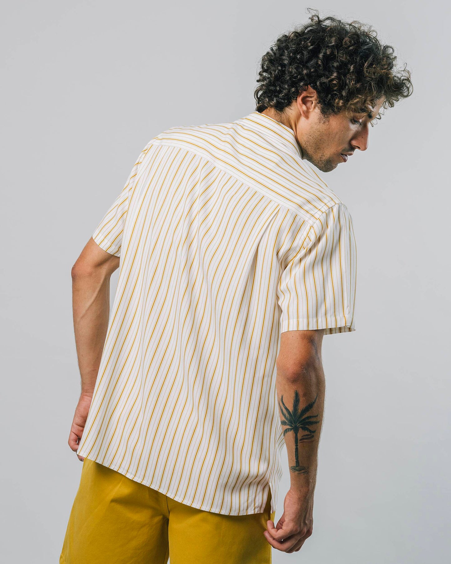 Narciso Stripe Shirt