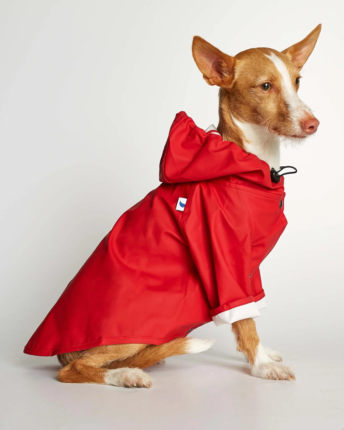 NEW Sarah Red Recycled Polyester Dog Raincoat with harness hole