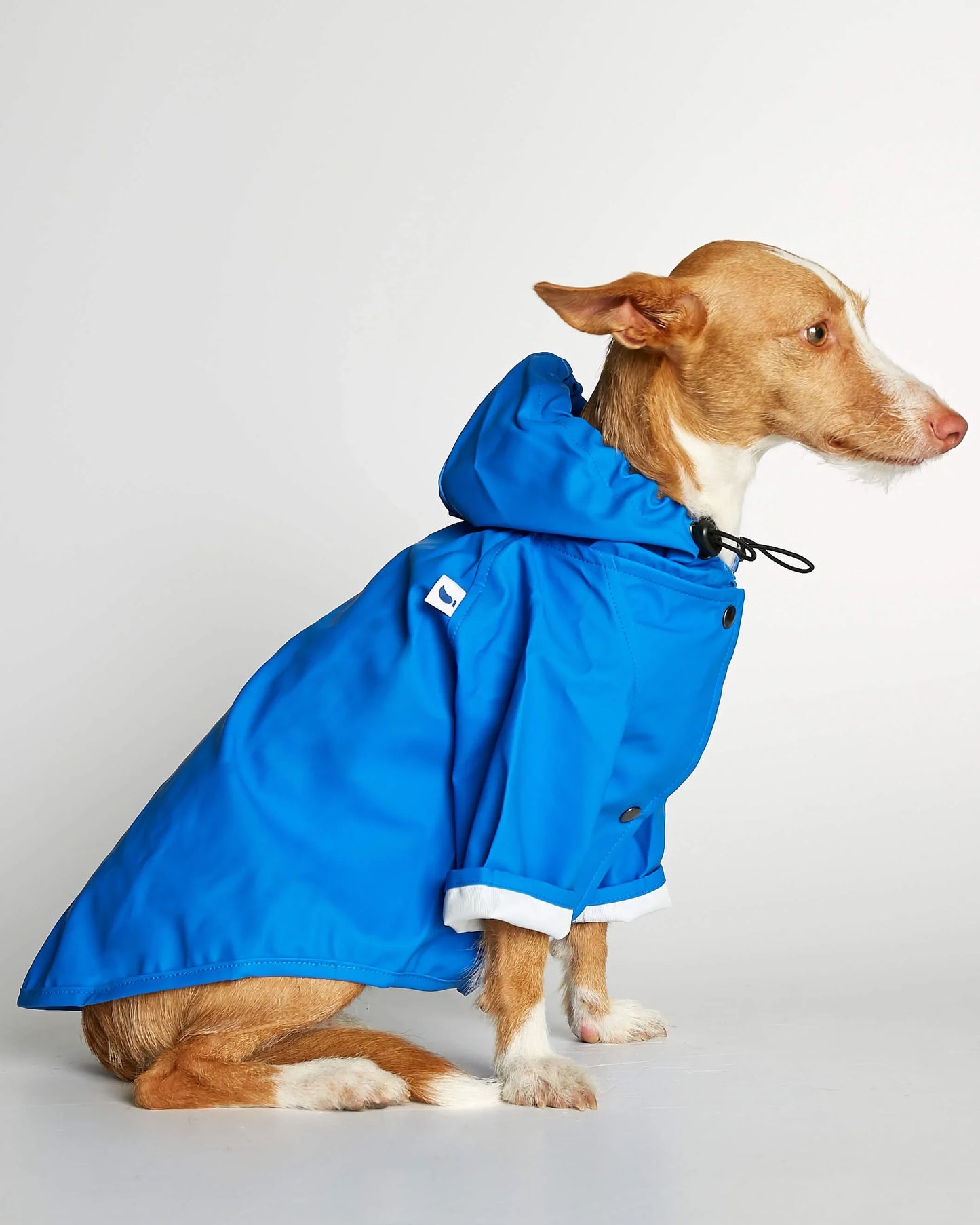 NEW Sarah Blue Recycled Polyester Dog Raincoat with harness hole