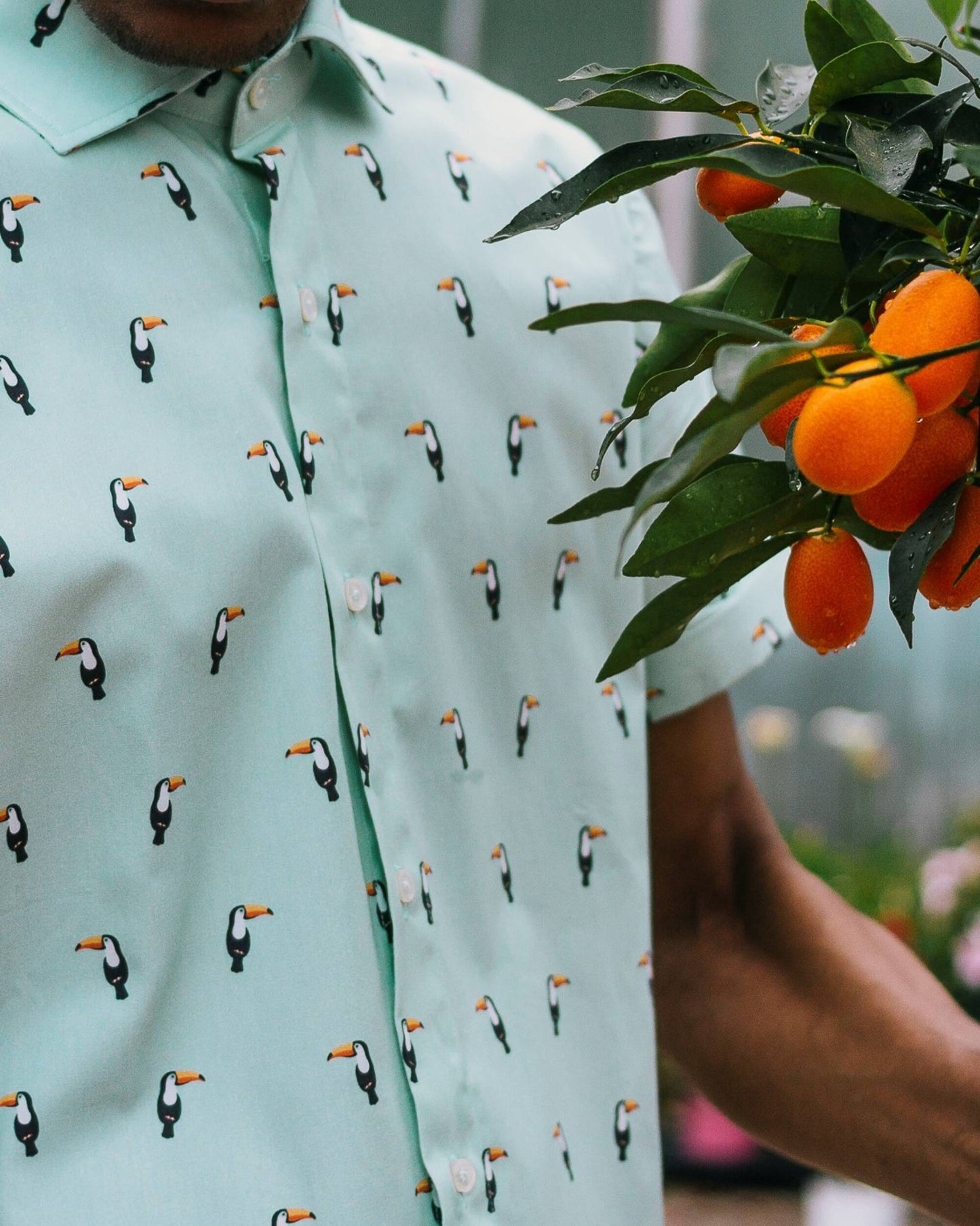 Tropical Tucan Printed Shirt