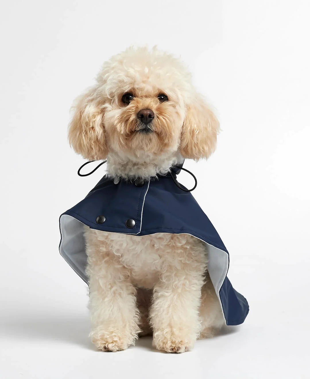 William Navy Waterproof Dog Rain Cape