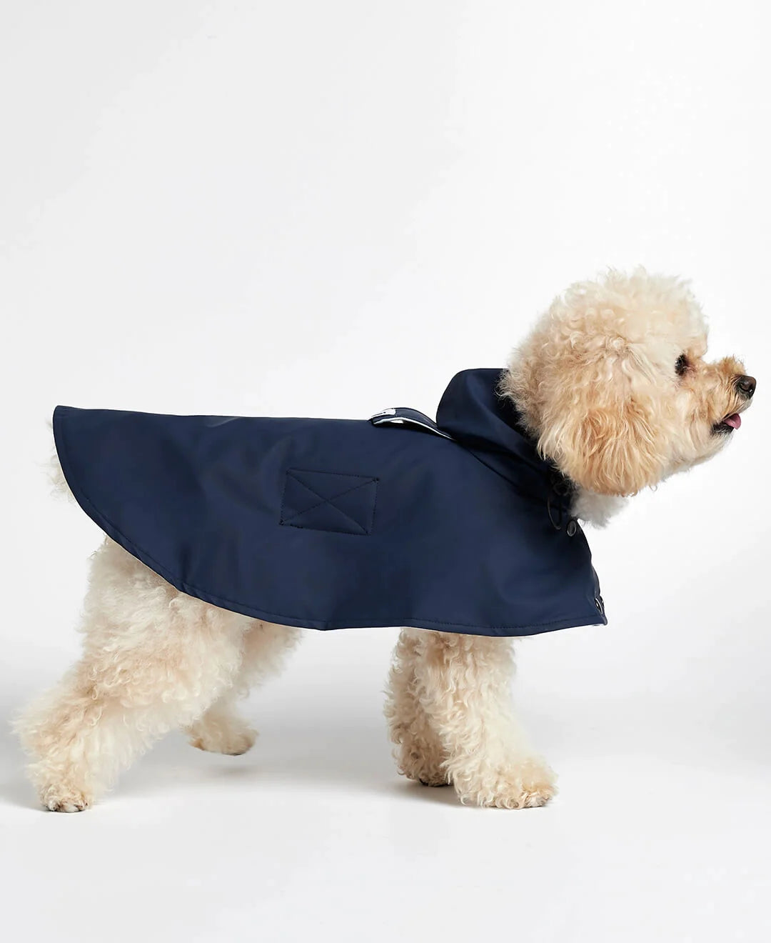 William Navy Waterproof Dog Rain Cape