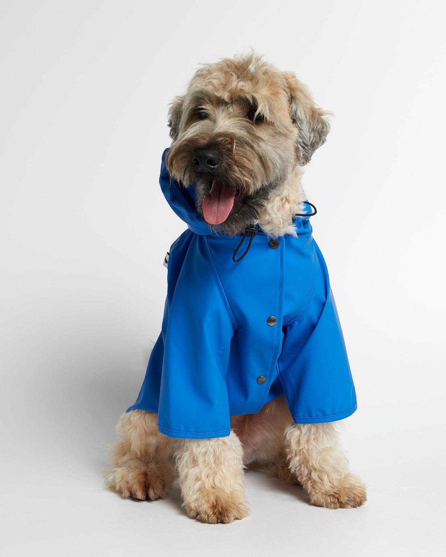 NEW Sarah Blue Recycled Polyester Dog Raincoat with harness hole