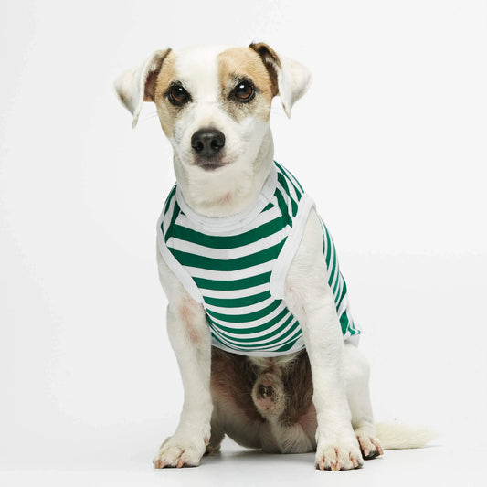 Daniel Green Striped Organic Cotton Dog Bodysuit Vest