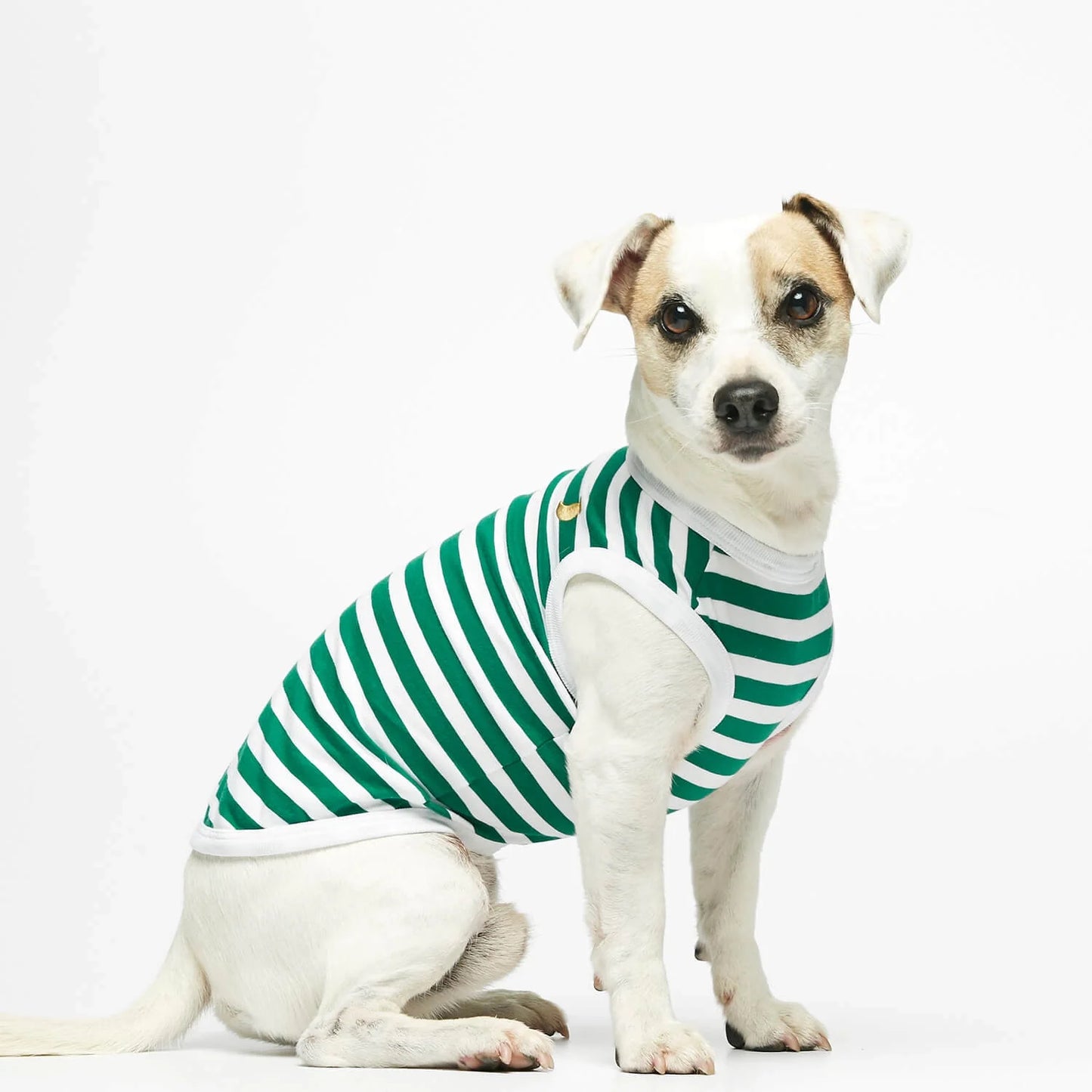 Daniel Green Striped Organic Cotton Dog Bodysuit Vest