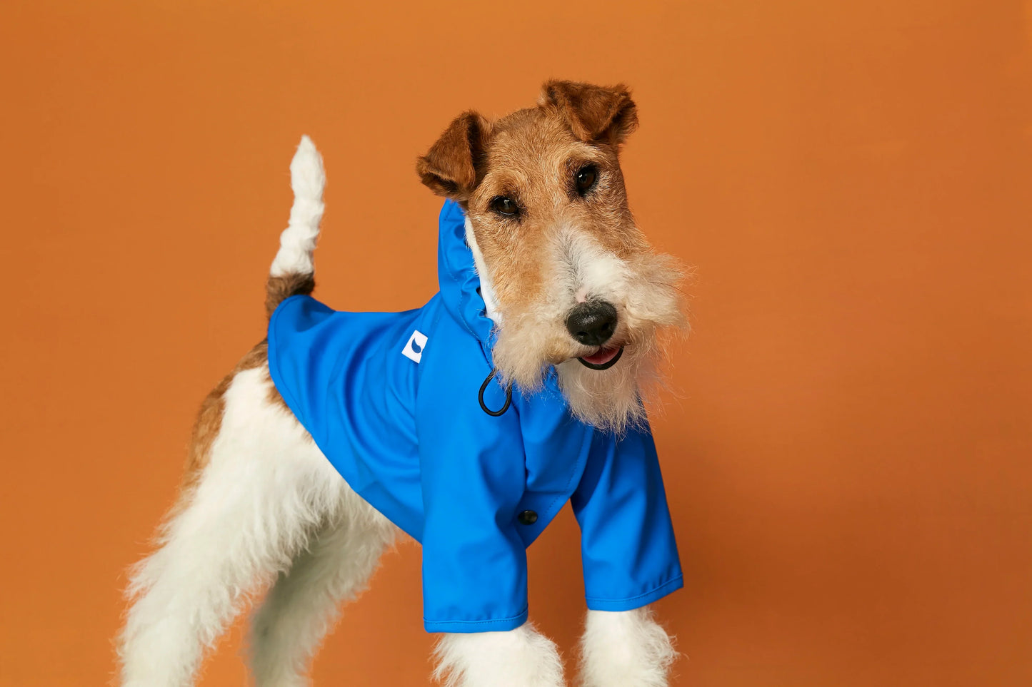 NEW Sarah Blue Recycled Polyester Dog Raincoat with harness hole