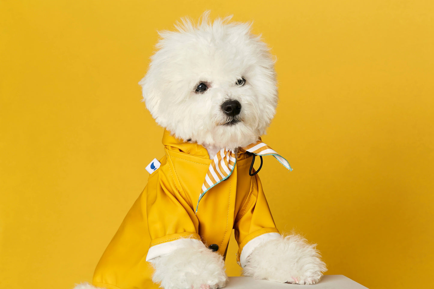 NEW Sarah Yellow Recycled Polyester Dog Raincoat with harness hole