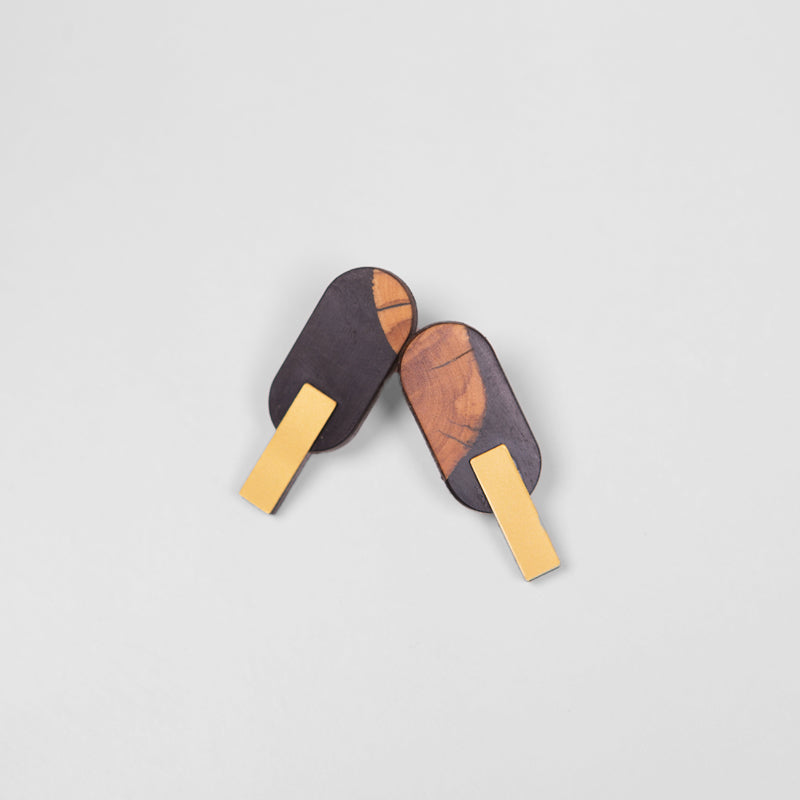 Wood and resin earrings, oval