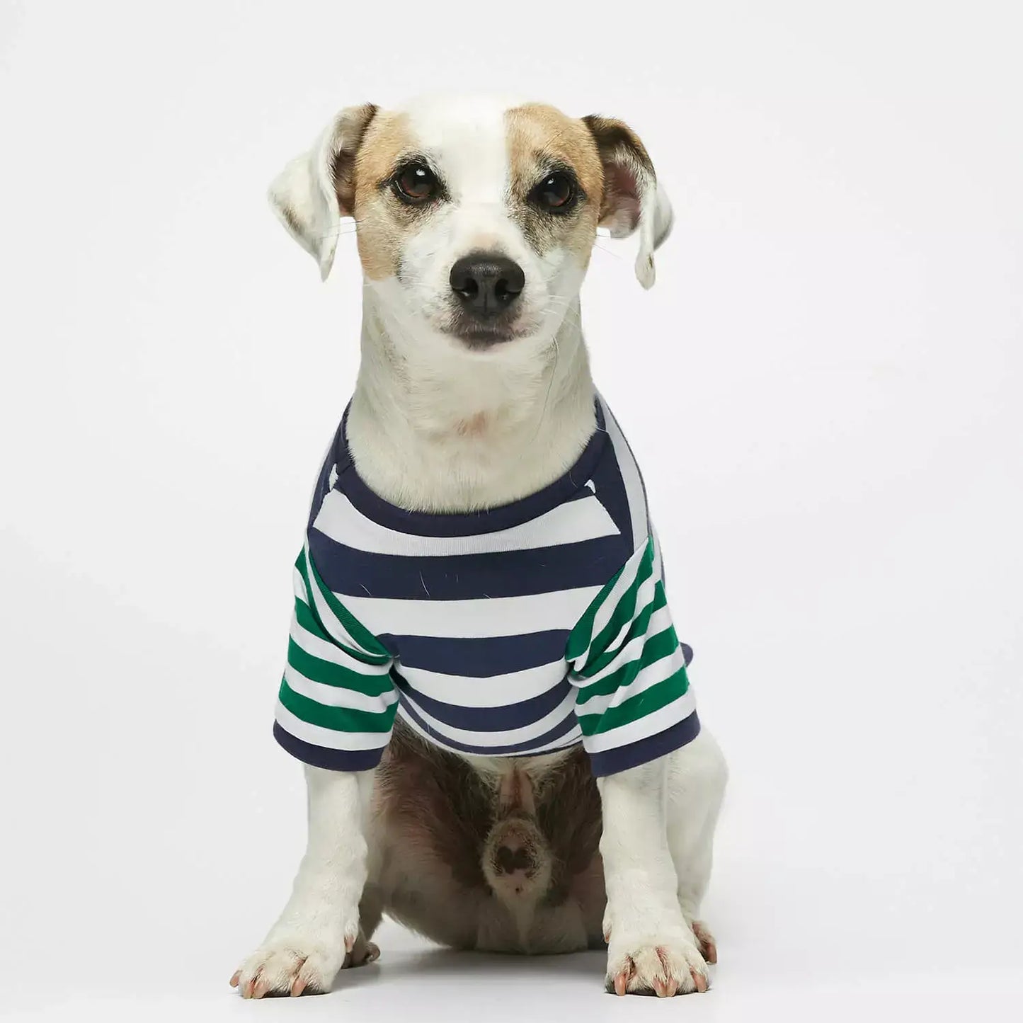 Ellsworth Navy Blue &amp; Green Striped Organic Cotton T-shirt