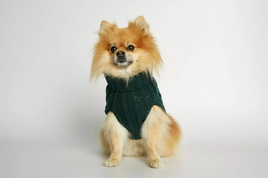 John B. Green Merino Wool and Cashmere Dog Winter Sweater