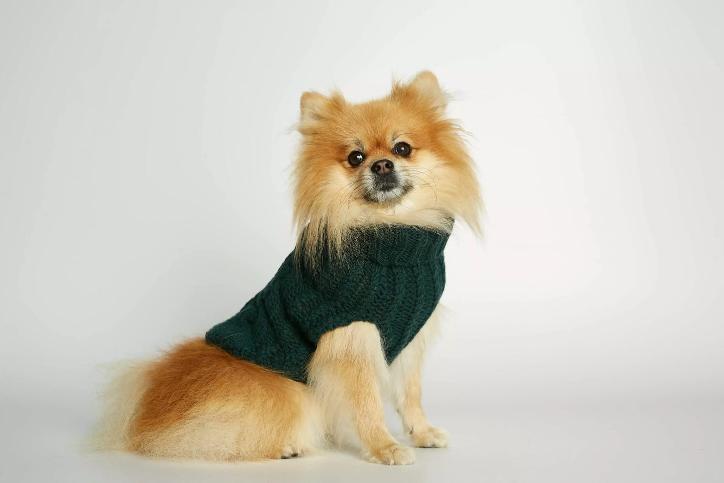 John B. Green Merino Wool and Cashmere Dog Winter Sweater