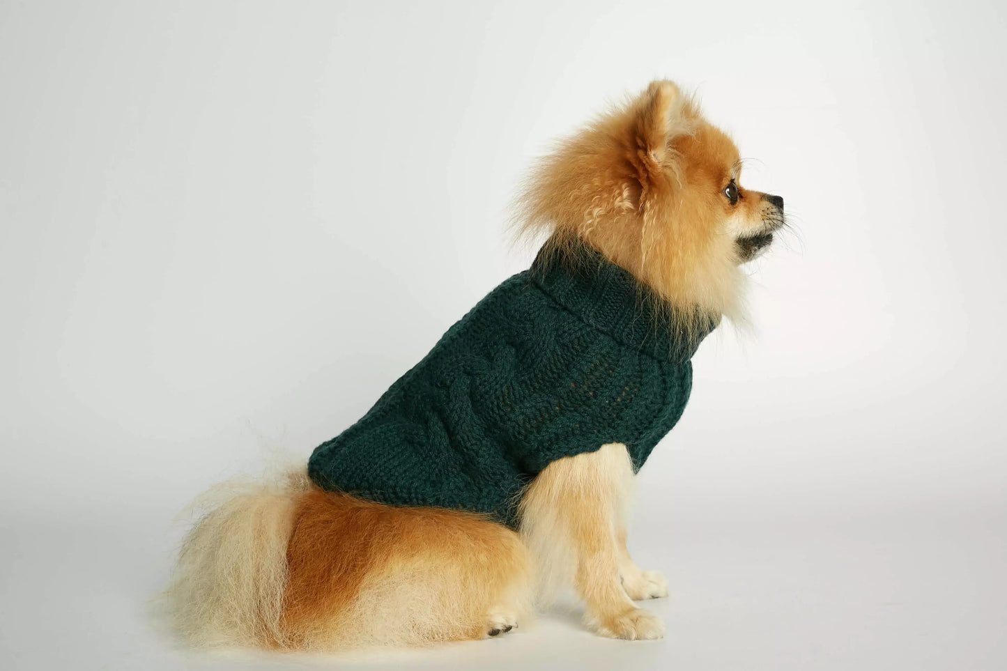 John B. Green Merino Wool and Cashmere Dog Winter Sweater