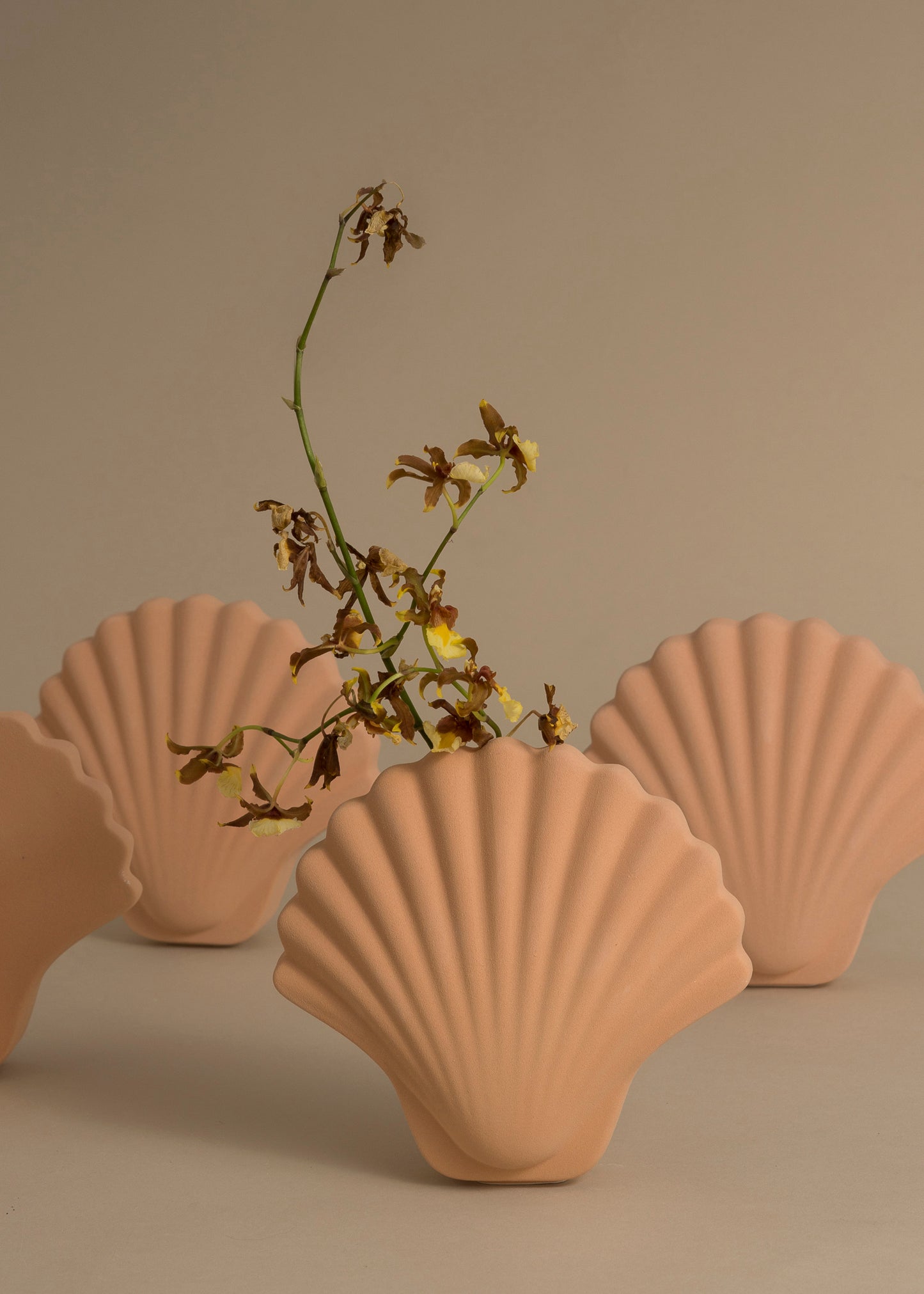 Ecru Seashell vase