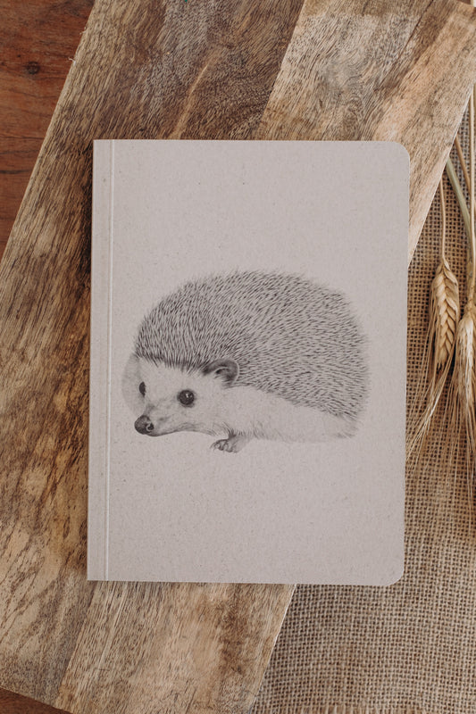 Ideas notebook (hedgehog)