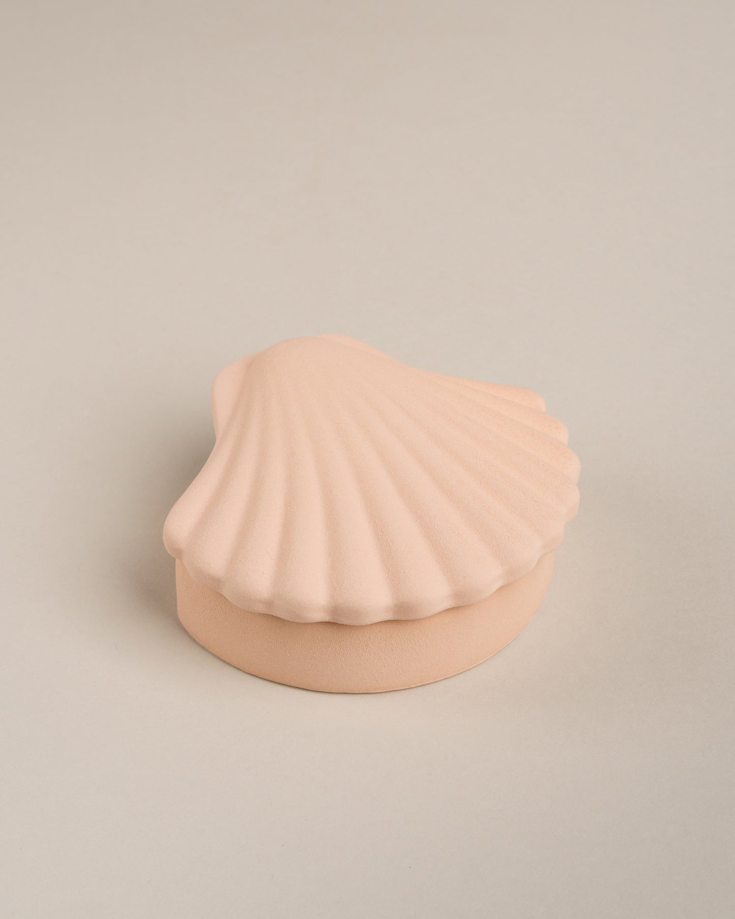 Ecru Seashell Box
